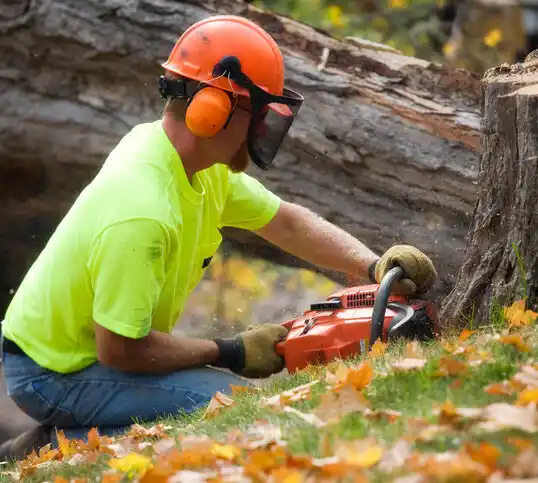 tree services Blackwells Mills